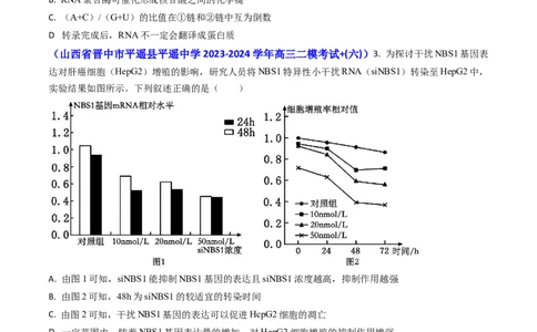 专题09遗传的分子基础-2024年高考真题和模拟题生物分类汇编(学生卷）_近10年高考真题汇编（必刷）_十年（2014-2024）高考生物真题分项汇编（全国通用）