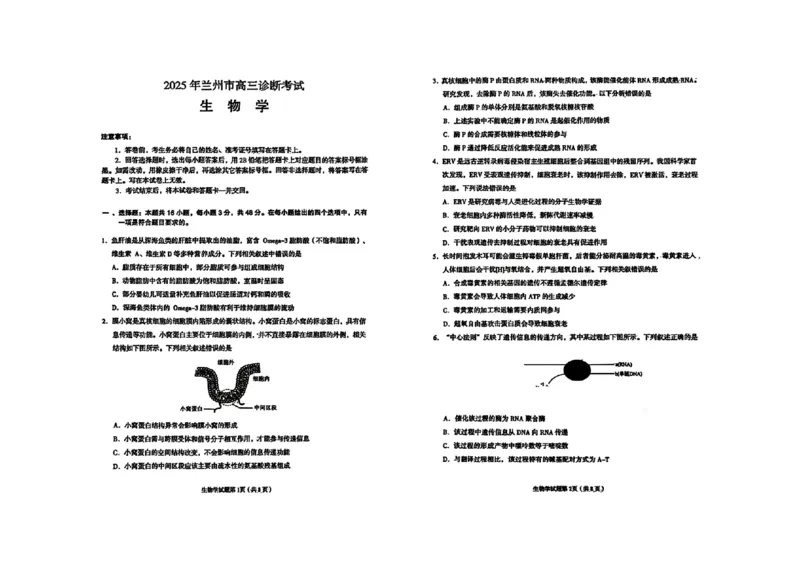 甘肃省兰州市2025届高三下学期诊断考试（一模）生物_2025年3月_250308甘肃省兰州市2025届高三下学期诊断考试（一模）（全科）_甘肃省兰州市2025届高三下学期诊断考试（一模）生物