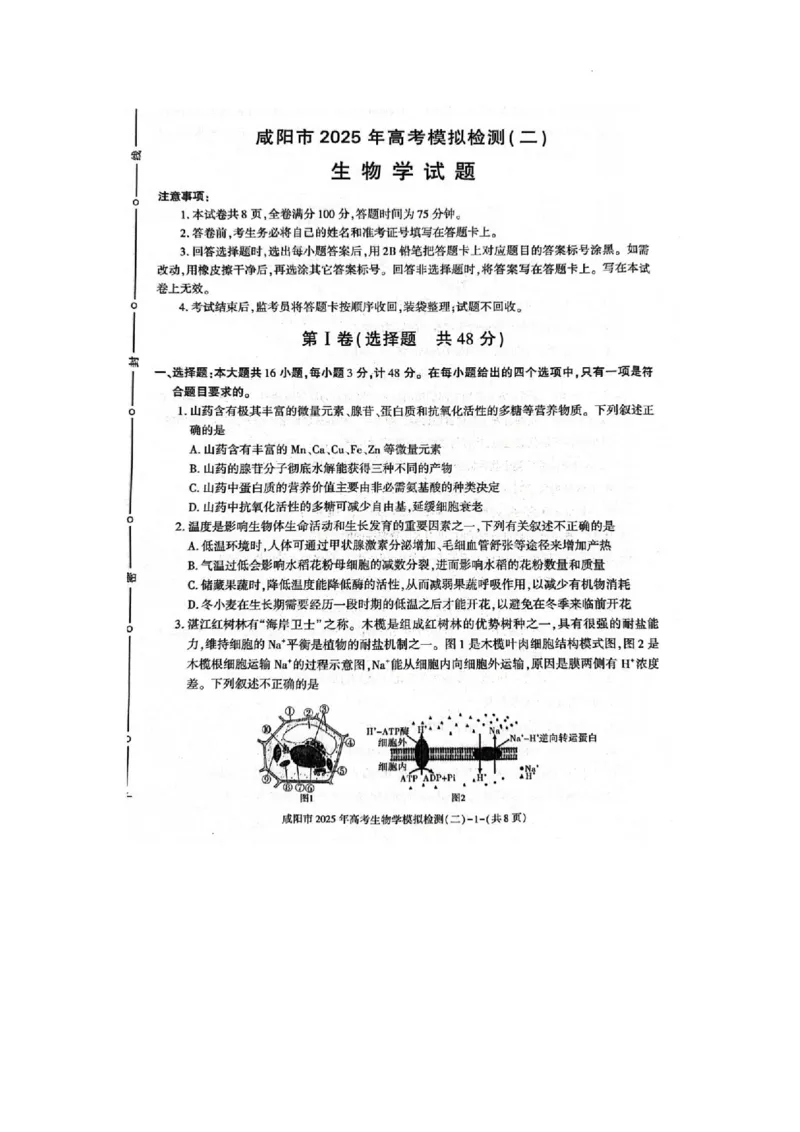陕西省咸阳市2025届高三第二次模拟-生物_2025年3月_250330陕西省咸阳市2025届高三第二次模拟（全科）_陕西省咸阳市2025届高三下学期高考模拟检测(二)生物