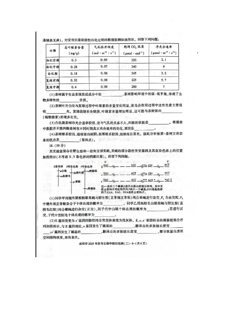 陕西省咸阳市2025届高三第二次模拟-生物_2025年3月_250330陕西省咸阳市2025届高三第二次模拟（全科）_陕西省咸阳市2025届高三下学期高考模拟检测(二)生物
