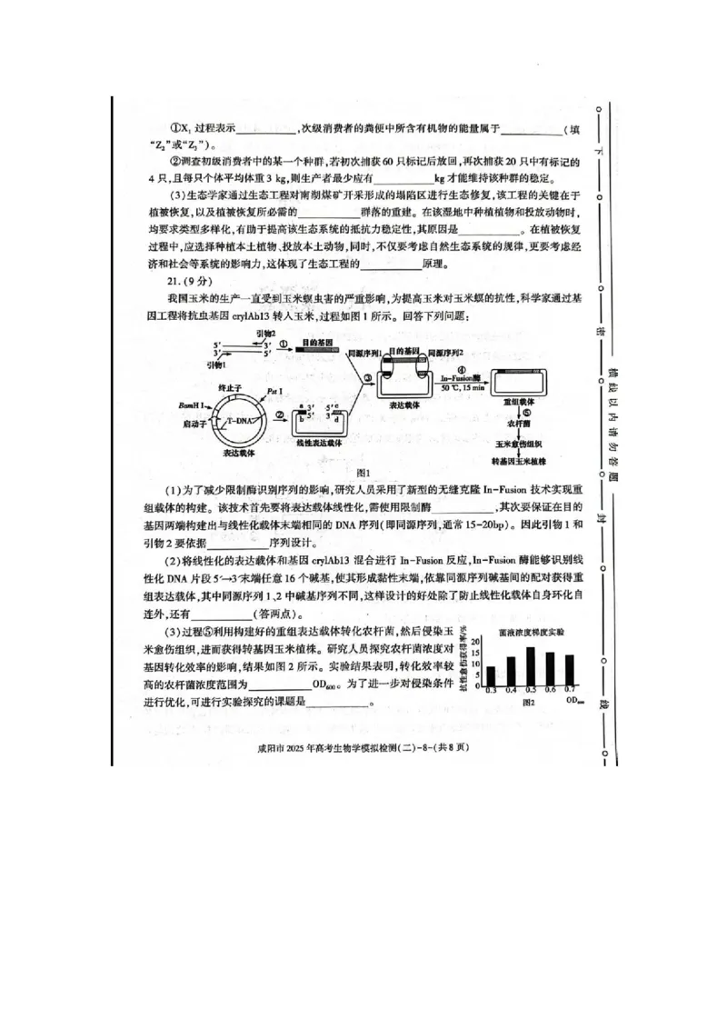 陕西省咸阳市2025届高三第二次模拟-生物_2025年3月_250330陕西省咸阳市2025届高三第二次模拟（全科）_陕西省咸阳市2025届高三下学期高考模拟检测(二)生物