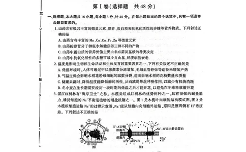 陕西省咸阳市2025届高三第二次模拟-生物_2025年3月_250330陕西省咸阳市2025届高三第二次模拟（全科）_陕西省咸阳市2025届高三下学期高考模拟检测(二)生物