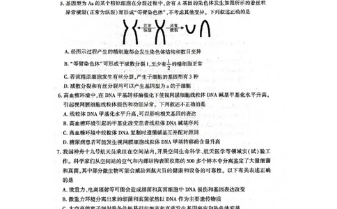 陕西省咸阳市2025届高三第二次模拟-生物_2025年3月_250330陕西省咸阳市2025届高三第二次模拟（全科）_陕西省咸阳市2025届高三下学期高考模拟检测(二)生物
