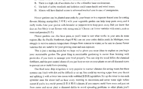 英语试卷_2025年2月_2502192025届广东省梅州市高三下学期模拟预测（一）（全科）_2025届广东梅州一模英语