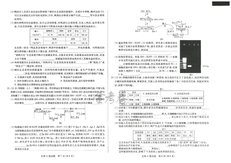 2024年天星 高考临考预测押题密卷 江苏专版 （生物）