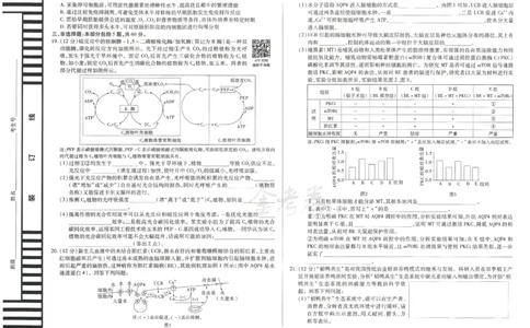 2024年天星 高考临考预测押题密卷 江苏专版 （生物）