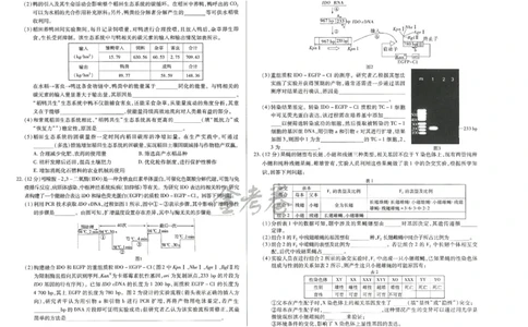 2024年天星 高考临考预测押题密卷 江苏专版 （生物）