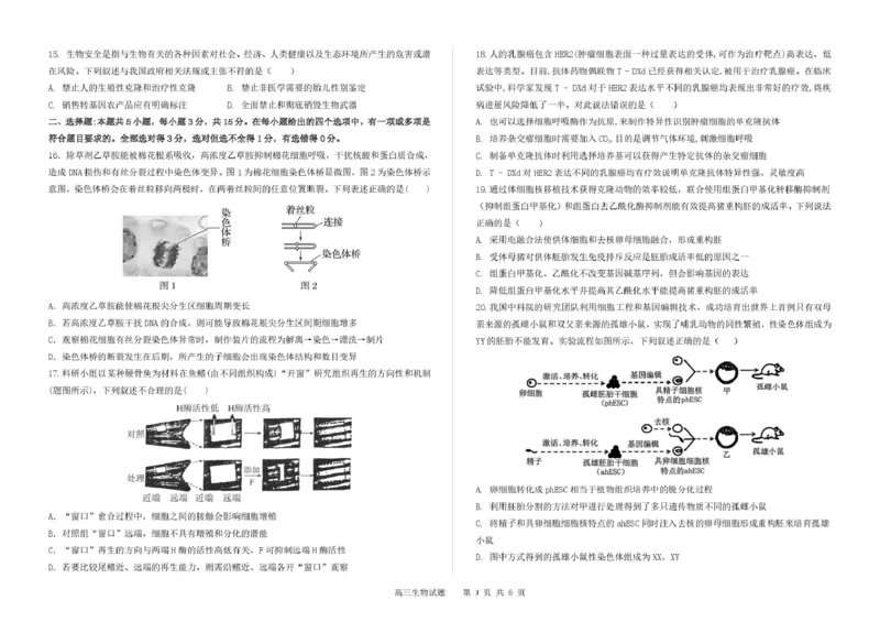 吉林省长春市第二实验中学2026届高三上学期10月月考+生物_2025年10月_12026年试卷教辅资源等多个文件_251022吉林省长春市第二实验中学2026届高三上学期10月月考（全科）