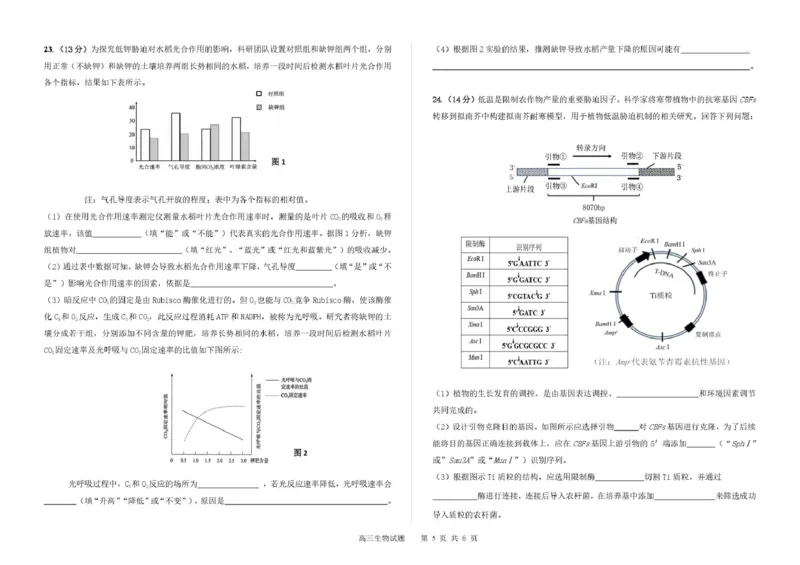吉林省长春市第二实验中学2026届高三上学期10月月考+生物_2025年10月_12026年试卷教辅资源等多个文件_251022吉林省长春市第二实验中学2026届高三上学期10月月考（全科）