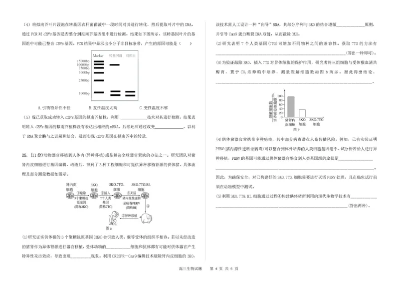 吉林省长春市第二实验中学2026届高三上学期10月月考+生物_2025年10月_12026年试卷教辅资源等多个文件_251022吉林省长春市第二实验中学2026届高三上学期10月月考（全科）