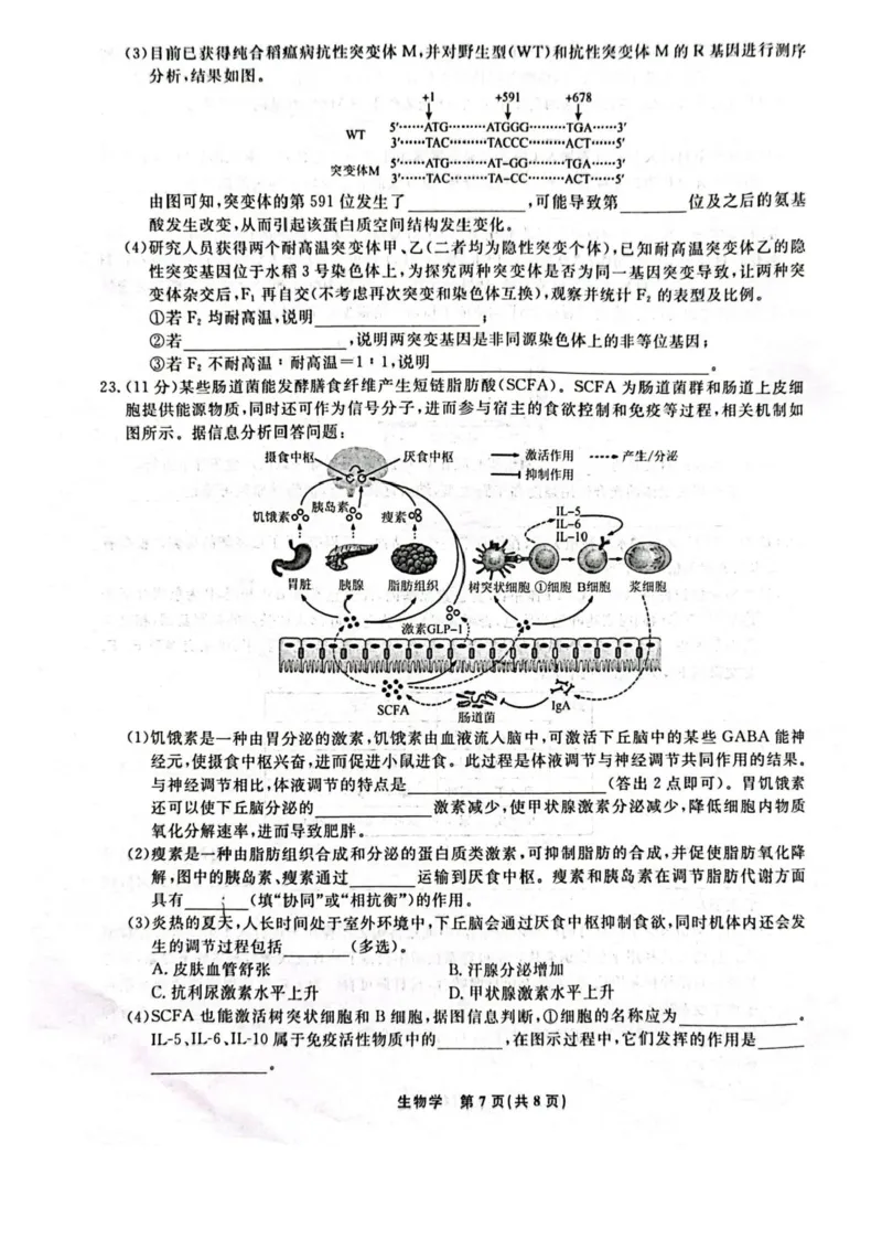 辽宁省名校联盟2024-2025学年高三上学期1月联合考试生物试题_2025年1月_250116辽宁省名校联盟2024-2025学年高三上学期1月份联合考试（全科）