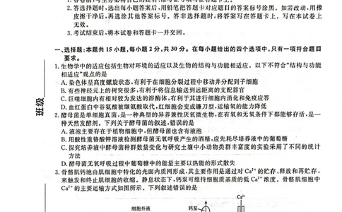 辽宁省名校联盟2024-2025学年高三上学期1月联合考试生物试题_2025年1月_250116辽宁省名校联盟2024-2025学年高三上学期1月份联合考试（全科）
