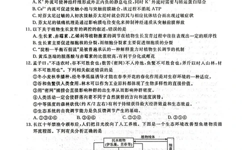 辽宁省名校联盟2024-2025学年高三上学期1月联合考试生物试题_2025年1月_250116辽宁省名校联盟2024-2025学年高三上学期1月份联合考试（全科）