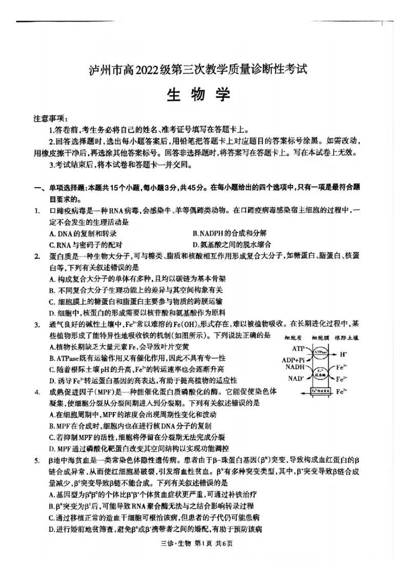 四川省泸州市高2022级第三次教学质量诊断性考试生物_2025年4月_250418四川省泸州市高2022级第三次教学质量诊断性考试（泸州三诊）（全科）