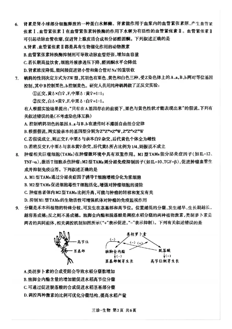 四川省泸州市高2022级第三次教学质量诊断性考试生物_2025年4月_250418四川省泸州市高2022级第三次教学质量诊断性考试（泸州三诊）（全科）