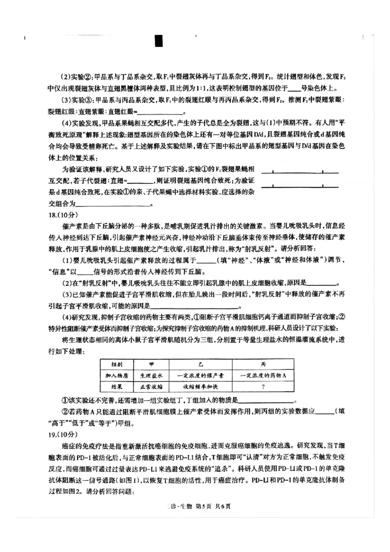 四川省泸州市高2022级第三次教学质量诊断性考试生物_2025年4月_250418四川省泸州市高2022级第三次教学质量诊断性考试（泸州三诊）（全科）