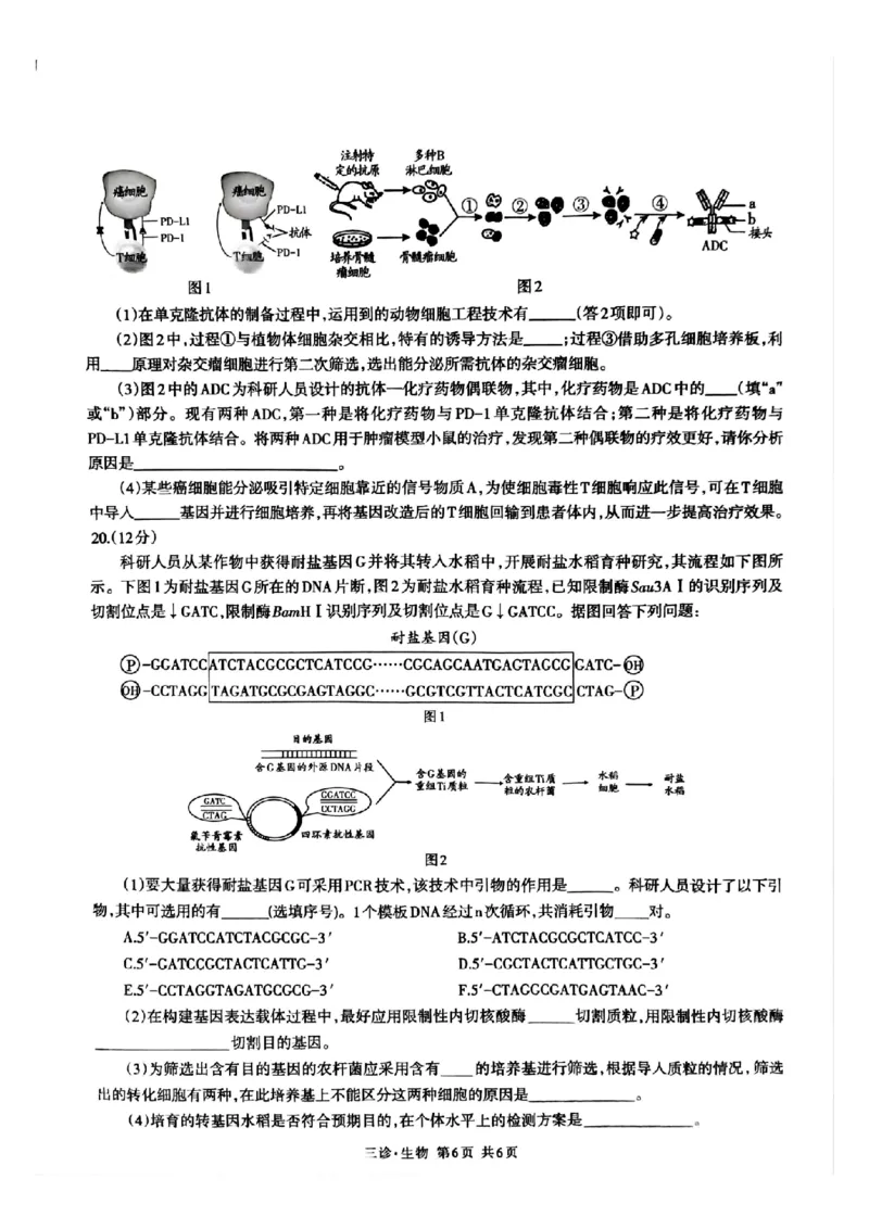四川省泸州市高2022级第三次教学质量诊断性考试生物_2025年4月_250418四川省泸州市高2022级第三次教学质量诊断性考试（泸州三诊）（全科）