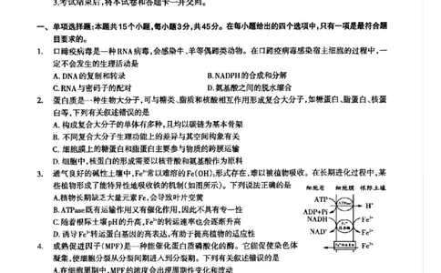 四川省泸州市高2022级第三次教学质量诊断性考试生物_2025年4月_250418四川省泸州市高2022级第三次教学质量诊断性考试（泸州三诊）（全科）