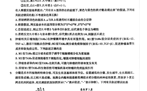 四川省泸州市高2022级第三次教学质量诊断性考试生物_2025年4月_250418四川省泸州市高2022级第三次教学质量诊断性考试（泸州三诊）（全科）
