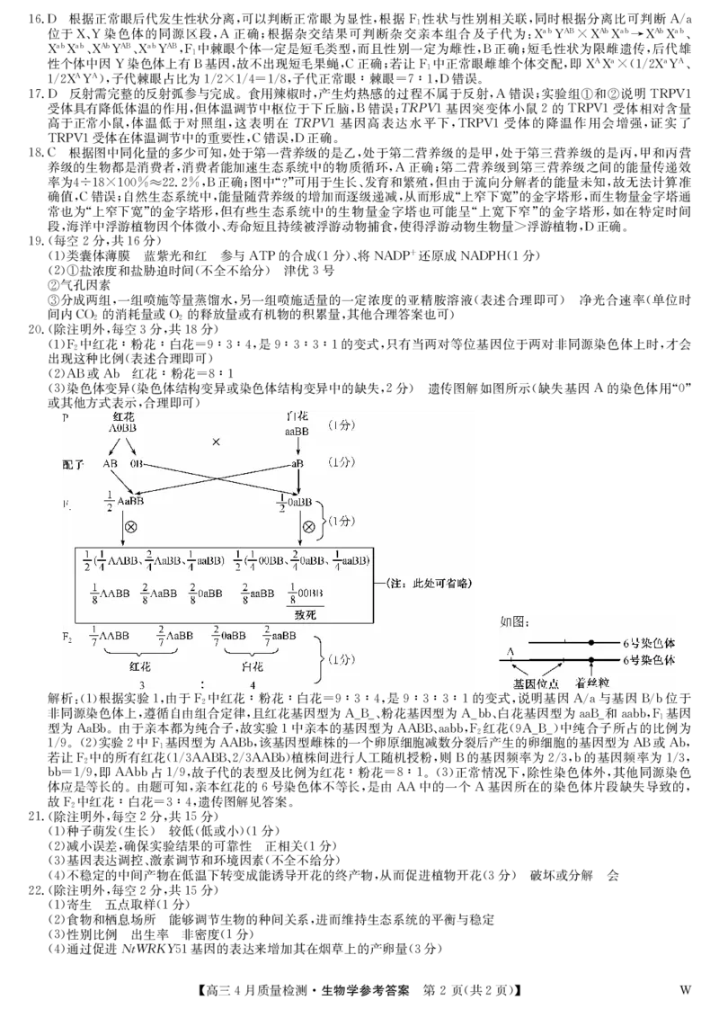 生物答案-4月质量检测（W）_2025年5月_250511湖北省九师联盟2025届高三4月质量检测（W）（全科）