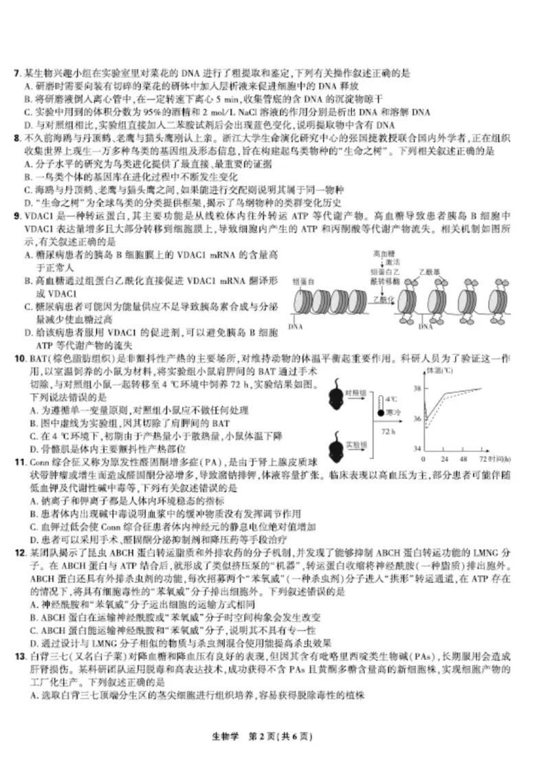 联考试卷理想树联考&mdash;东北三省精准教学生物A4版_2025年5月_250529东北三省精准教学联盟2025届高三5月联考（理想树）（全科）
