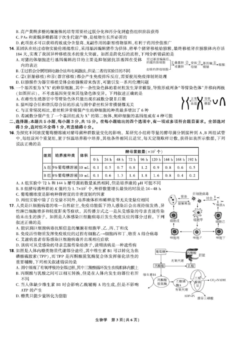 联考试卷理想树联考&mdash;东北三省精准教学生物A4版_2025年5月_250529东北三省精准教学联盟2025届高三5月联考（理想树）（全科）