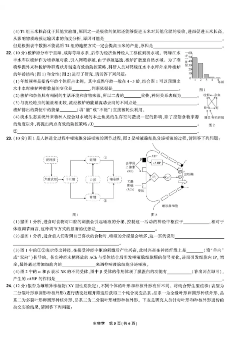联考试卷理想树联考&mdash;东北三省精准教学生物A4版_2025年5月_250529东北三省精准教学联盟2025届高三5月联考（理想树）（全科）