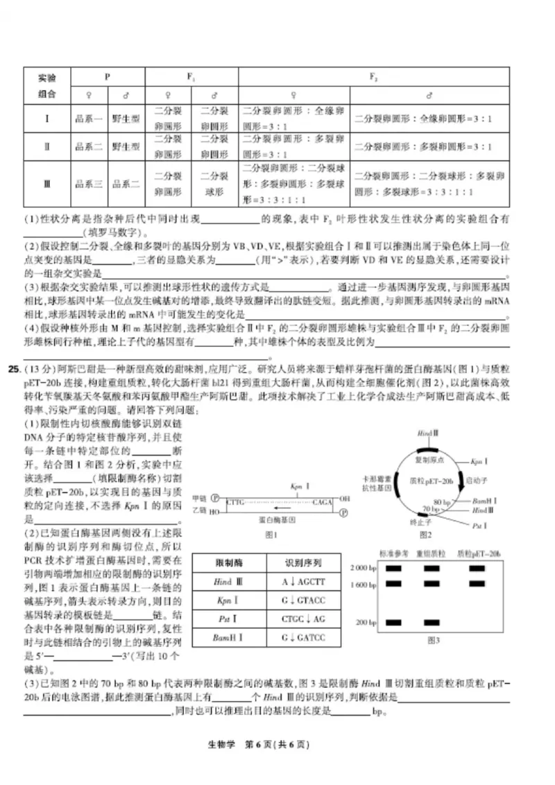 联考试卷理想树联考&mdash;东北三省精准教学生物A4版_2025年5月_250529东北三省精准教学联盟2025届高三5月联考（理想树）（全科）