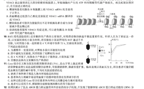 联考试卷理想树联考&mdash;东北三省精准教学生物A4版_2025年5月_250529东北三省精准教学联盟2025届高三5月联考（理想树）（全科）