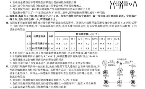 联考试卷理想树联考&mdash;东北三省精准教学生物A4版_2025年5月_250529东北三省精准教学联盟2025届高三5月联考（理想树）（全科）