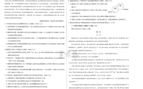 2024年天星高考临考预测押题密卷山东专版（语文_2024高考押题卷_12024天星全系列_@@@天星临考押题密卷汇总重复_2024年tx高考临考押题密卷山东专版