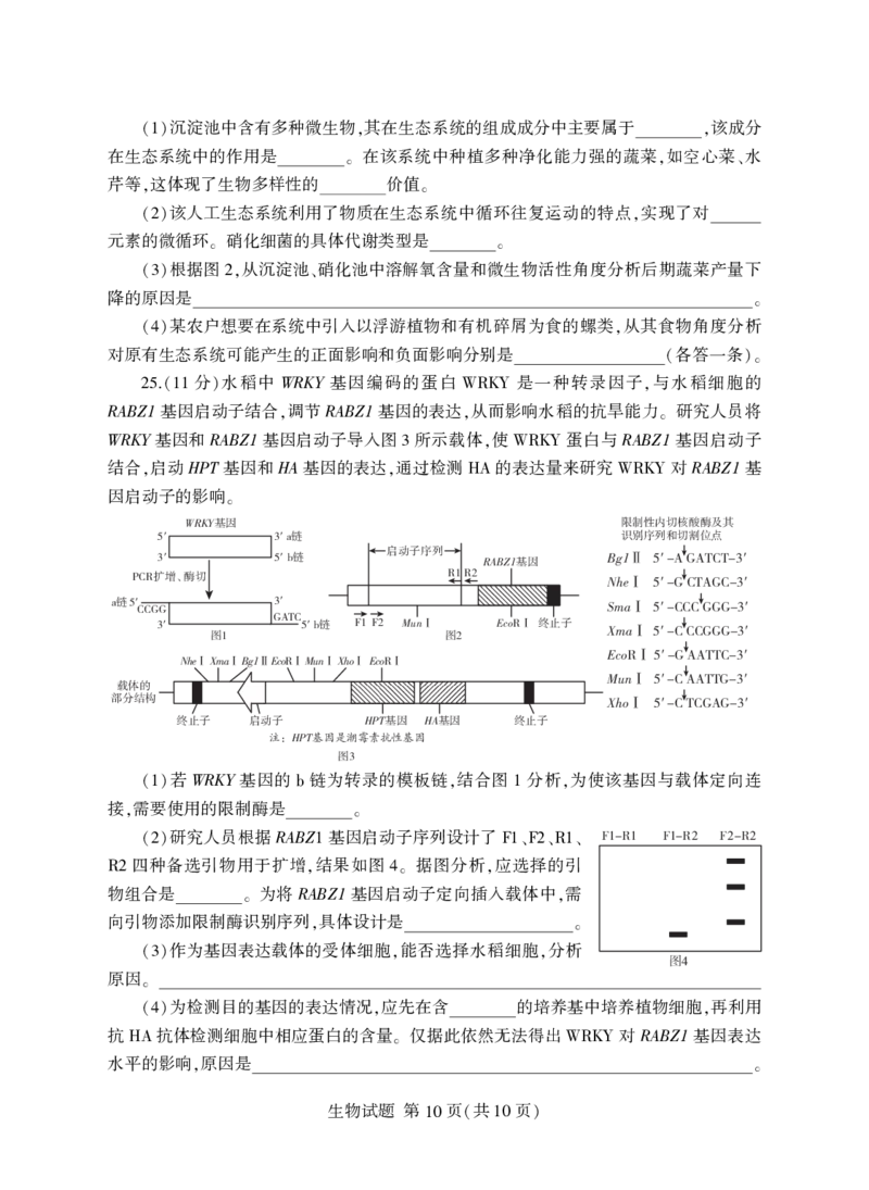 山东省临沂市普通高中学业水平等级考试模拟试题生物+答案_2025年5月_250514山东省临沂市普通高中学业水平等级考试模拟试题（临沂二模）（全科）