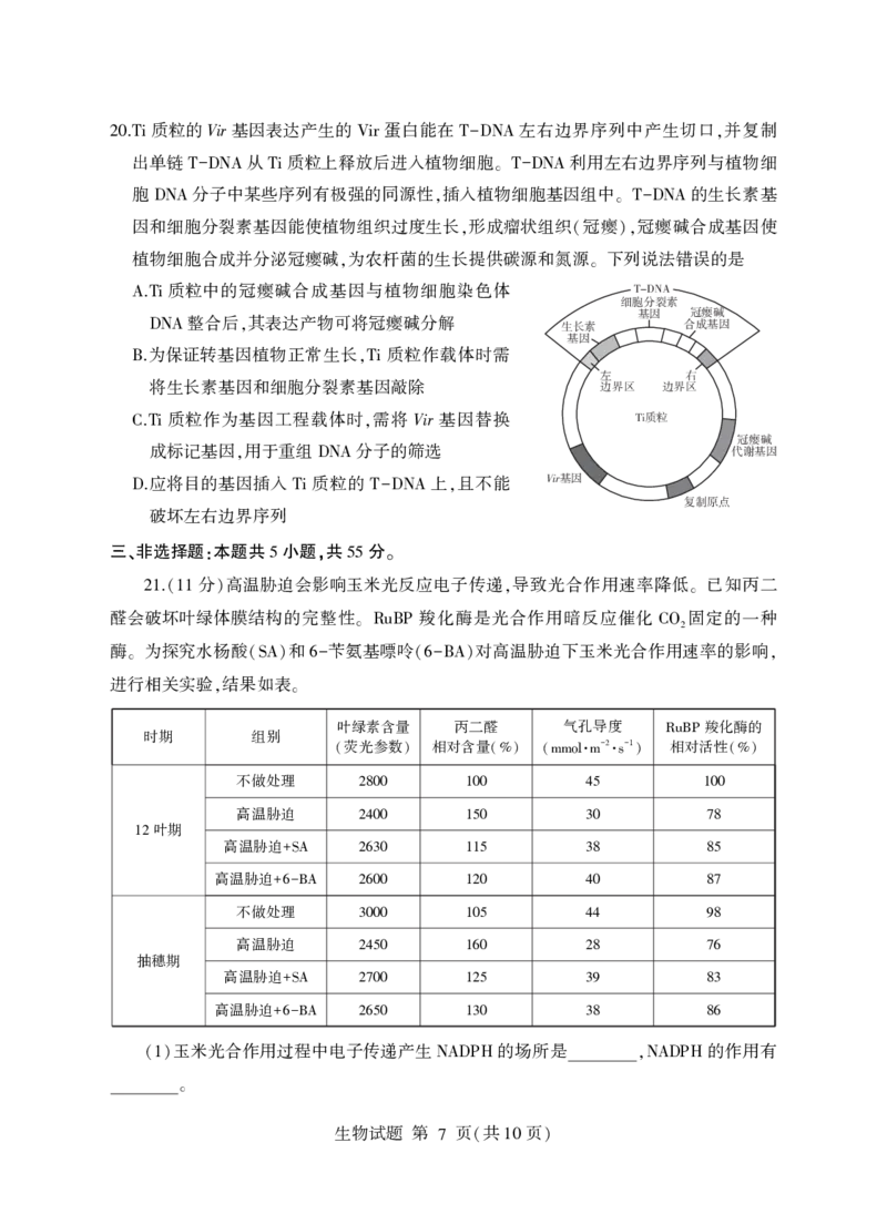 山东省临沂市普通高中学业水平等级考试模拟试题生物+答案_2025年5月_250514山东省临沂市普通高中学业水平等级考试模拟试题（临沂二模）（全科）