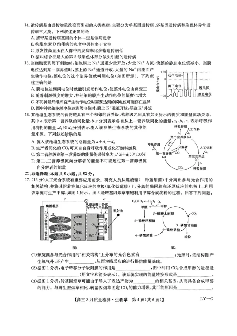 河南省九师联盟2025届高三4月联考生物试题+答案_2025年4月_250402河南省九师联盟2025届高三4月联考（全科）