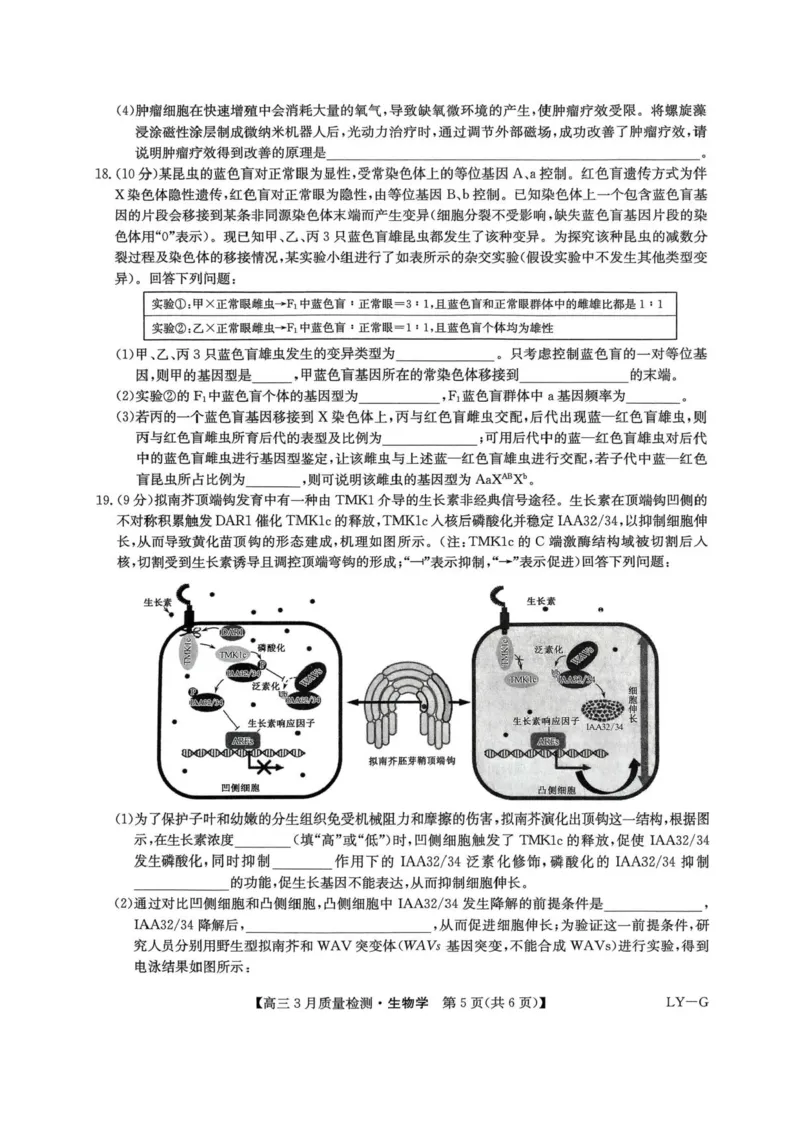 河南省九师联盟2025届高三4月联考生物试题+答案_2025年4月_250402河南省九师联盟2025届高三4月联考（全科）