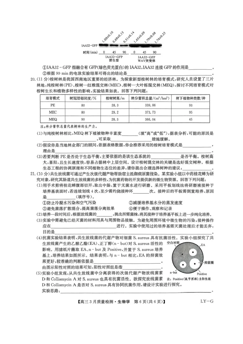 河南省九师联盟2025届高三4月联考生物试题+答案_2025年4月_250402河南省九师联盟2025届高三4月联考（全科）