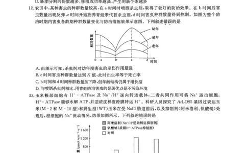 河南省九师联盟2025届高三4月联考生物试题+答案_2025年4月_250402河南省九师联盟2025届高三4月联考（全科）