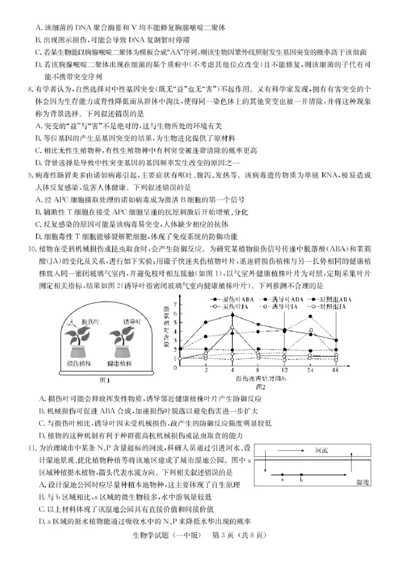 湖南省2025届长沙市第一中学高三下学期模拟考试（二）生物（含答案）_2025年5月_250523湖南省长沙市第一中学2025届高三下学期模拟考试（二）（全科）
