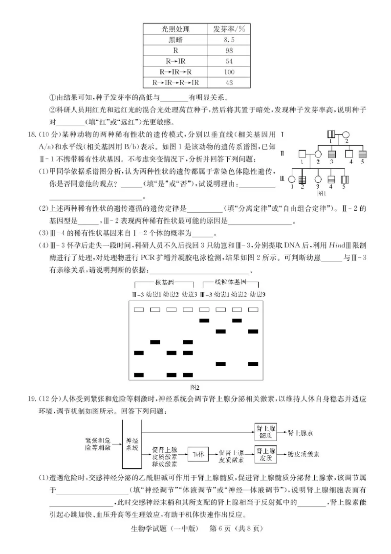 湖南省2025届长沙市第一中学高三下学期模拟考试（二）生物（含答案）_2025年5月_250523湖南省长沙市第一中学2025届高三下学期模拟考试（二）（全科）