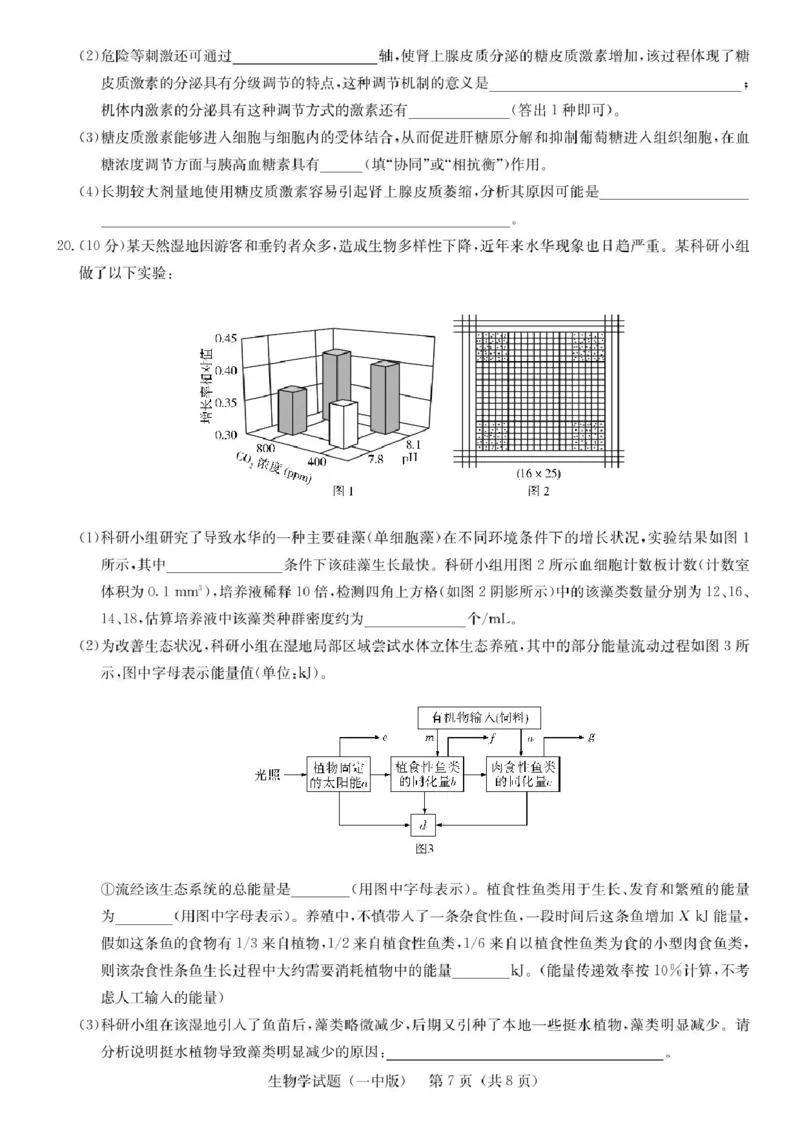 湖南省2025届长沙市第一中学高三下学期模拟考试（二）生物（含答案）_2025年5月_250523湖南省长沙市第一中学2025届高三下学期模拟考试（二）（全科）