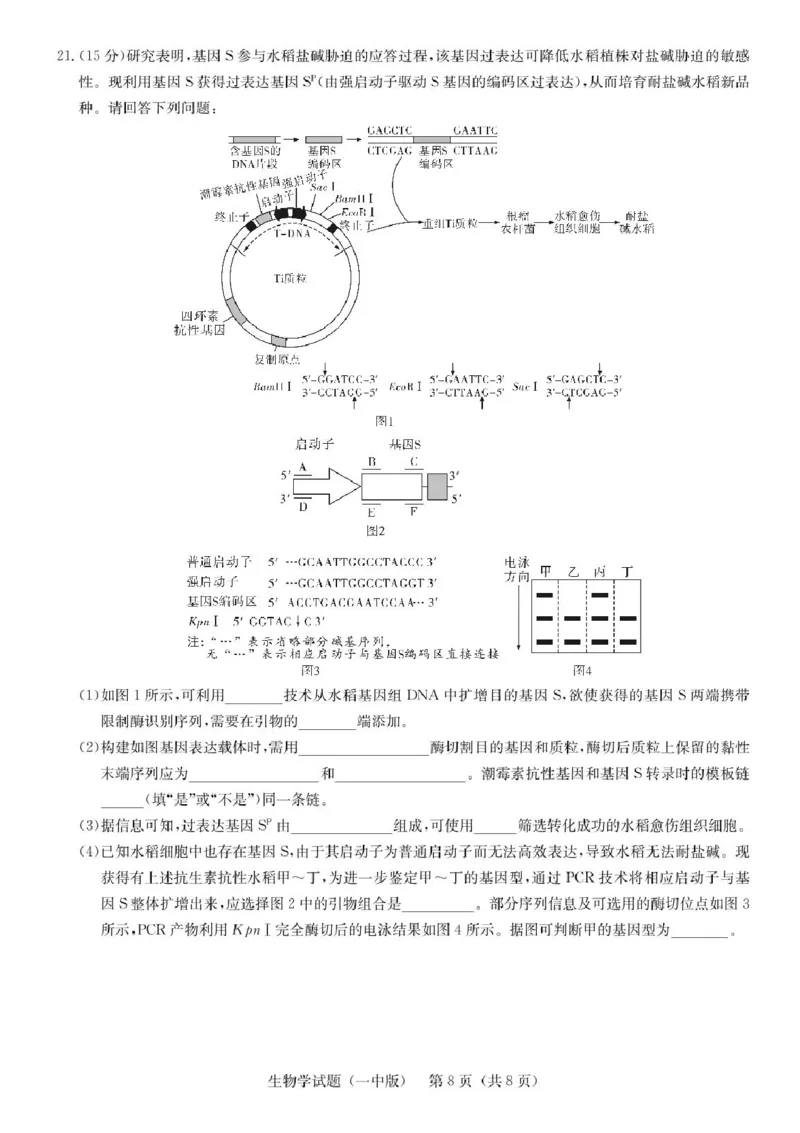 湖南省2025届长沙市第一中学高三下学期模拟考试（二）生物（含答案）_2025年5月_250523湖南省长沙市第一中学2025届高三下学期模拟考试（二）（全科）