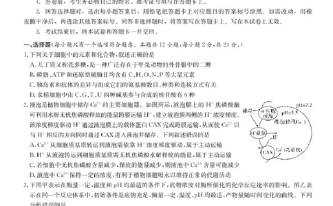湖南省2025届长沙市第一中学高三下学期模拟考试（二）生物（含答案）_2025年5月_250523湖南省长沙市第一中学2025届高三下学期模拟考试（二）（全科）