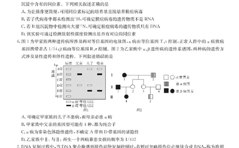 湖南省2025届长沙市第一中学高三下学期模拟考试（二）生物（含答案）_2025年5月_250523湖南省长沙市第一中学2025届高三下学期模拟考试（二）（全科）