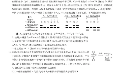湖南省2025届长沙市第一中学高三下学期模拟考试（二）生物（含答案）_2025年5月_250523湖南省长沙市第一中学2025届高三下学期模拟考试（二）（全科）