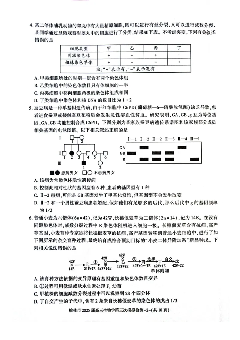 生物_2025年3月_250310陕西省榆林市2025届高三第三次模拟检测（全科）_陕西省榆林市2025届高三第三次模拟检测生物