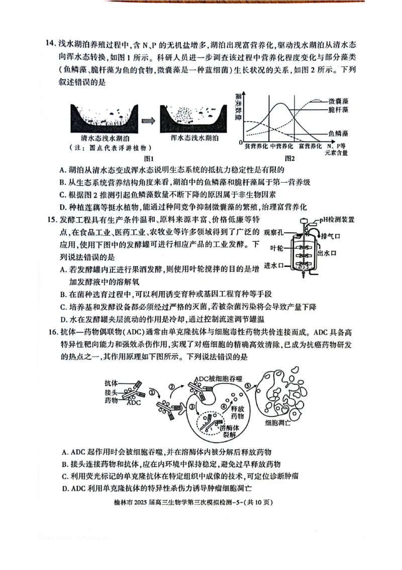 生物_2025年3月_250310陕西省榆林市2025届高三第三次模拟检测（全科）_陕西省榆林市2025届高三第三次模拟检测生物