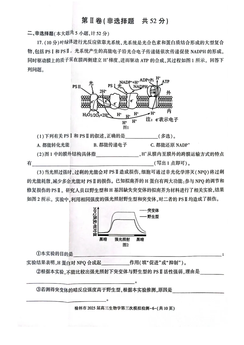 生物_2025年3月_250310陕西省榆林市2025届高三第三次模拟检测（全科）_陕西省榆林市2025届高三第三次模拟检测生物