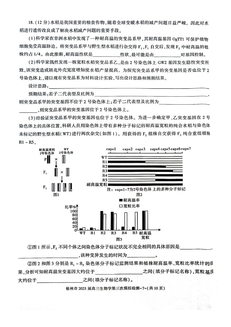 生物_2025年3月_250310陕西省榆林市2025届高三第三次模拟检测（全科）_陕西省榆林市2025届高三第三次模拟检测生物