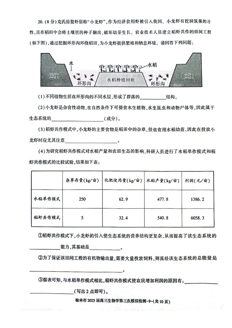 生物_2025年3月_250310陕西省榆林市2025届高三第三次模拟检测（全科）_陕西省榆林市2025届高三第三次模拟检测生物