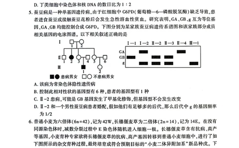 生物_2025年3月_250310陕西省榆林市2025届高三第三次模拟检测（全科）_陕西省榆林市2025届高三第三次模拟检测生物